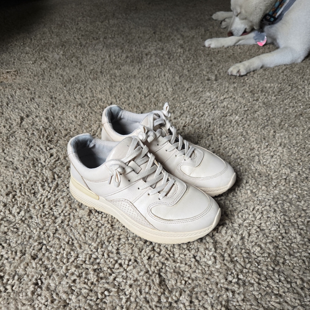 Everlane women's leather sneakers